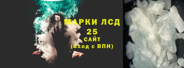 прущие грибы Аркадак