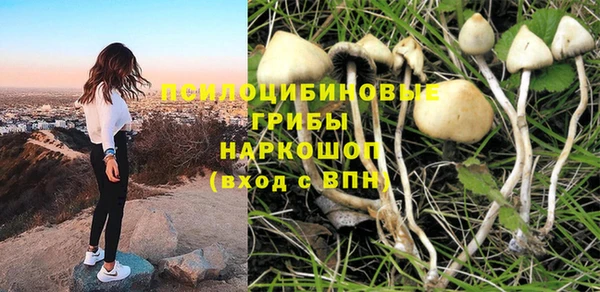 a pvp Арсеньев