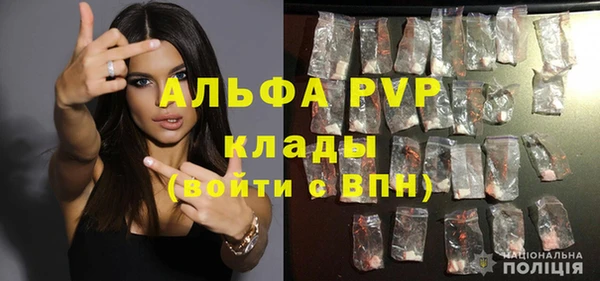 прущие грибы Аркадак