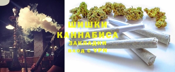 прущие грибы Аркадак